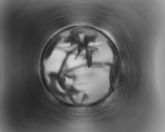 X0000089730895200707201839