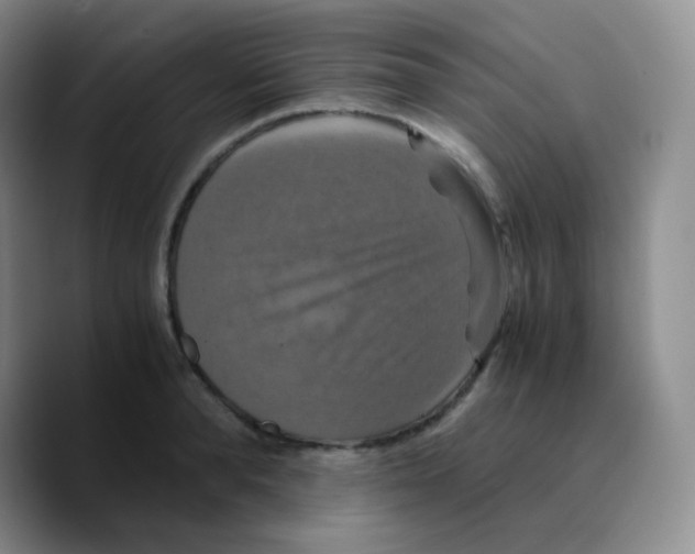 X0000089730896200707201839