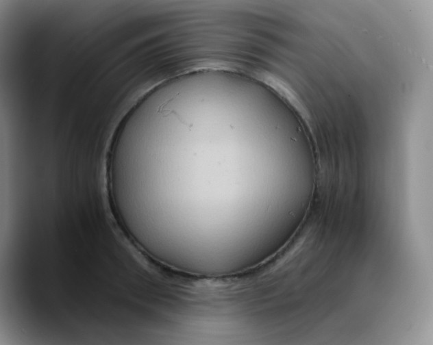 X0000089730898200707201839
