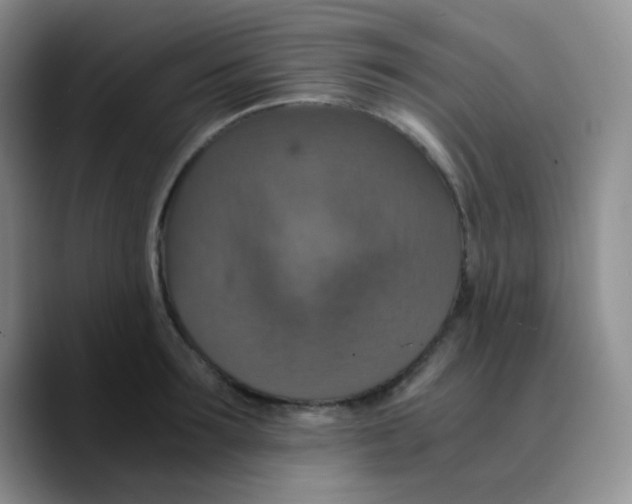 X0000089730899200707201839