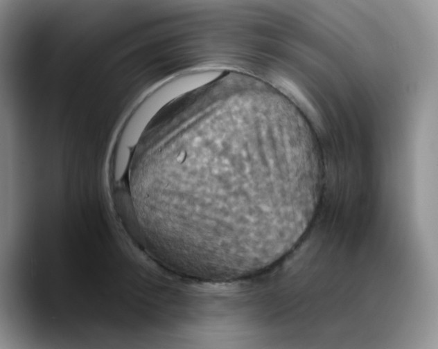 X0000089730900200707201839