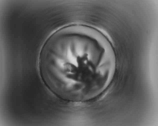 X0000089730903200707201839
