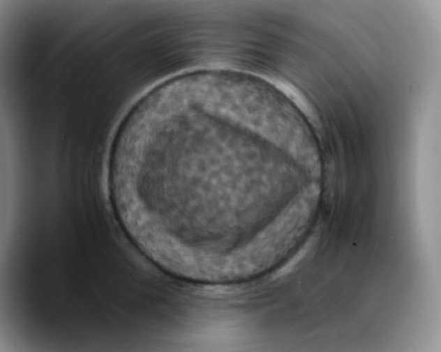 X0000089730904200707201839