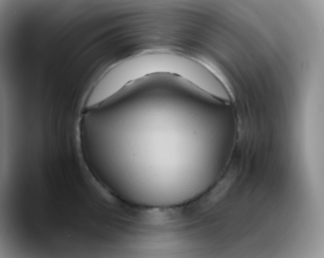 X0000089730906200707201839