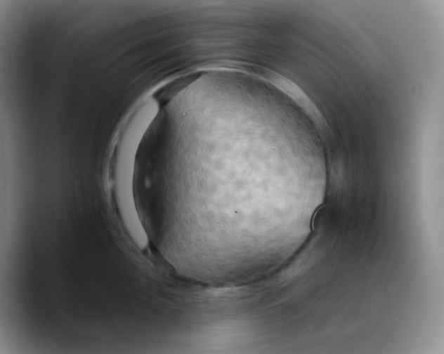 X0000089730908200707201839