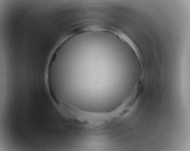 X0000089730909200707201839