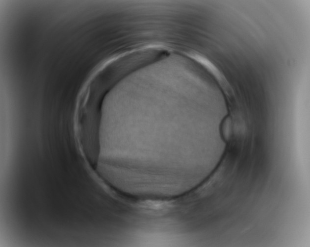 X0000089730910200707201839