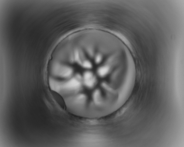X0000089730911200707201839