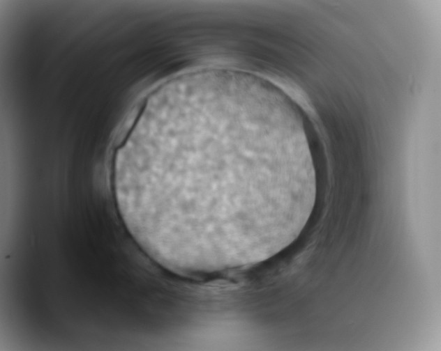 X0000089730912200707201839