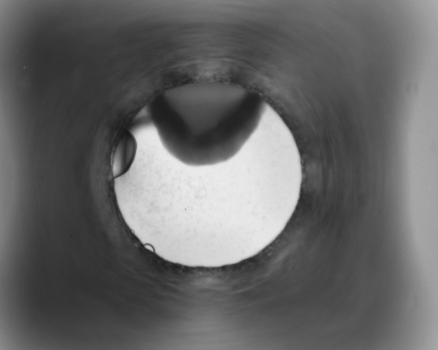 X0000089730913200707201838