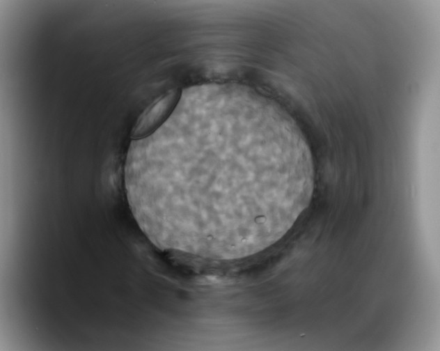 X0000089730914200707201838