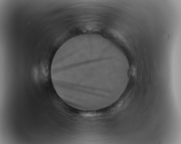 X0000089730915200707201838