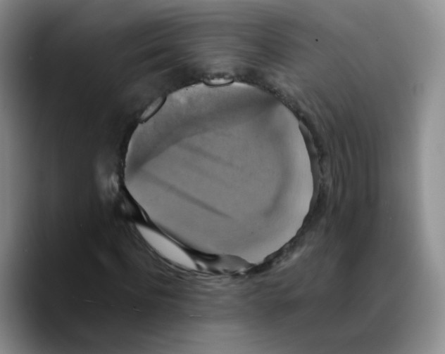 X0000089730916200707201838