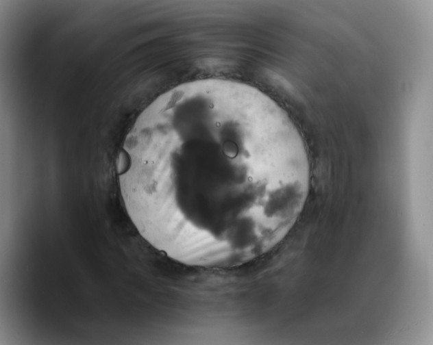 X0000089730917200707201838