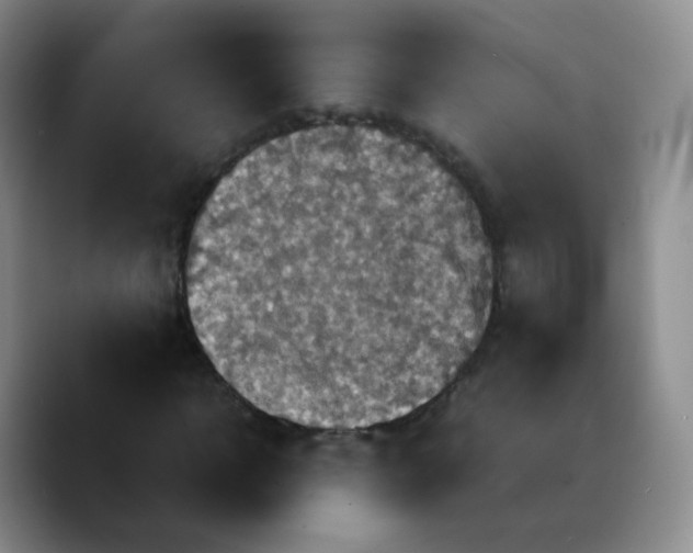 X0000089730918200707201838