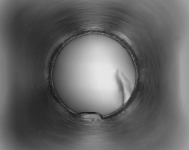 X0000089730922200707201838