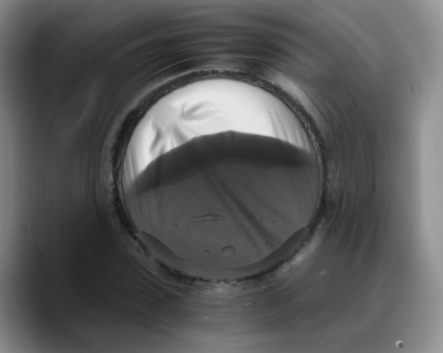 X0000089730923200707201838