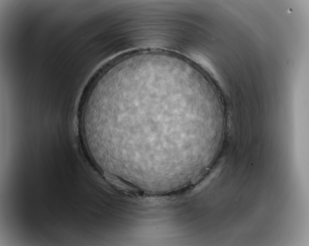 X0000089730924200707201838