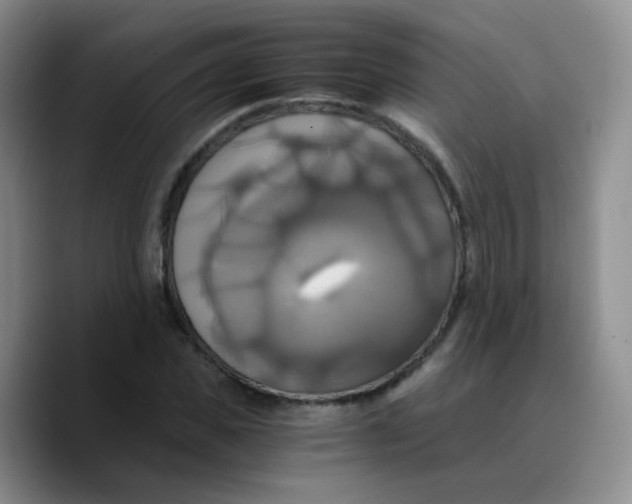 X0000089730925200707201838