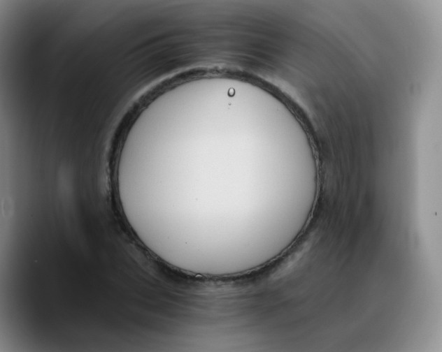 X0000089730927200707201838