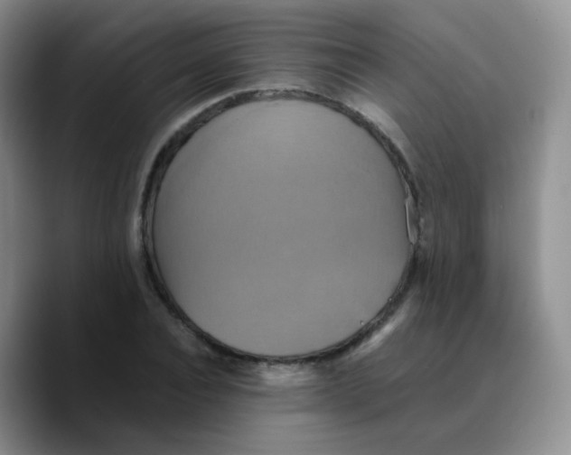 X0000089730928200707201838