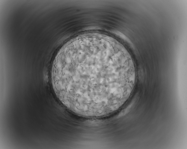 X0000089730929200707201838