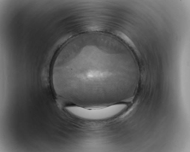 X0000089730930200707201838