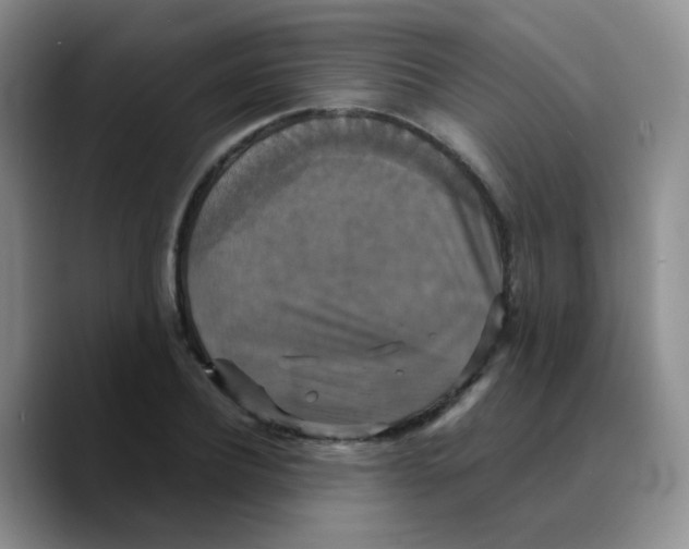 X0000089730932200707201838