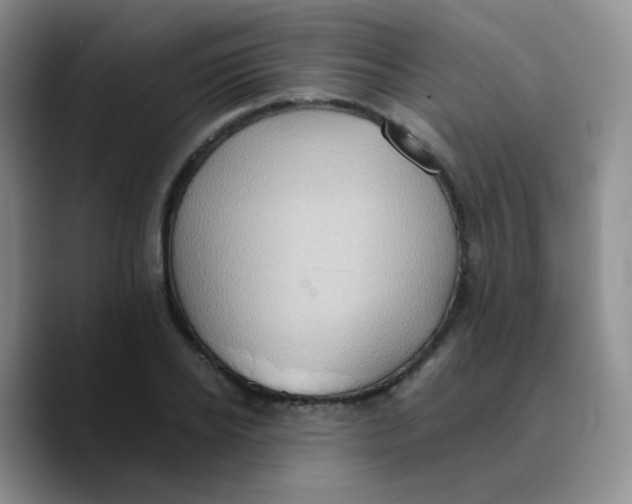 X0000089730934200707201838