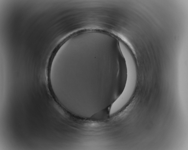X0000089730935200707201838