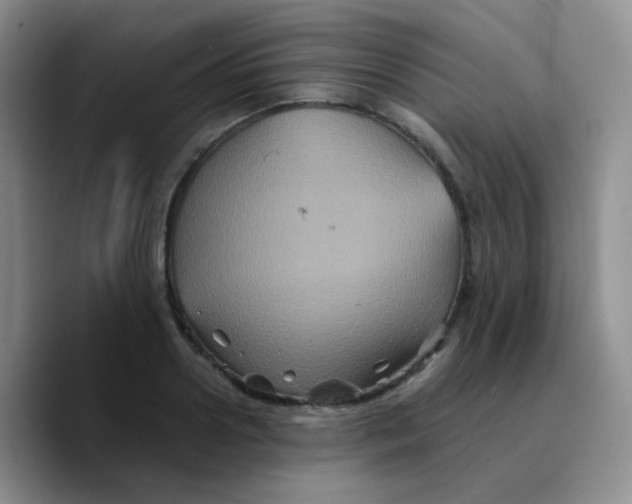 X0000089730938200707201838