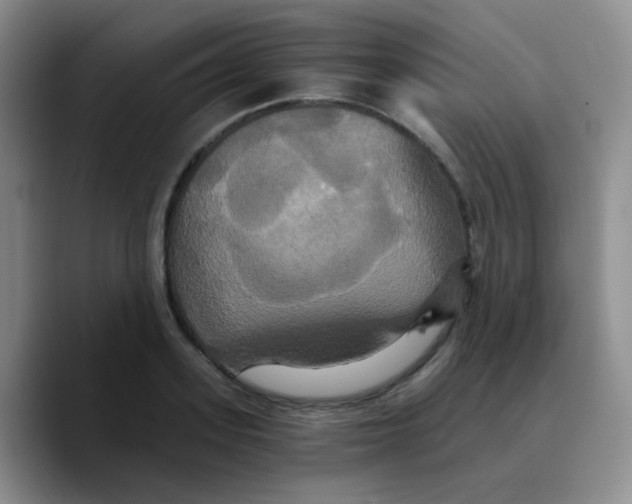 X0000089730939200707201838