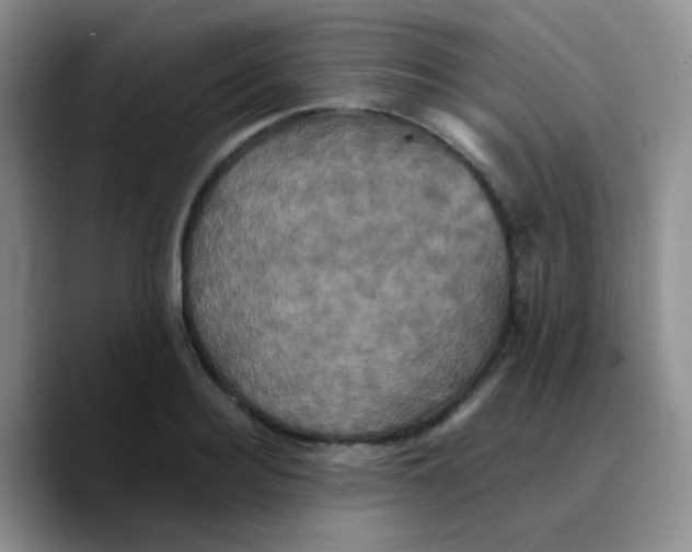 X0000089730940200707201838