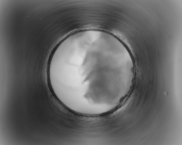 X0000089730941200707201838