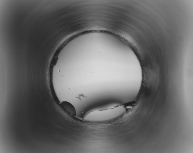 X0000089730942200707201838