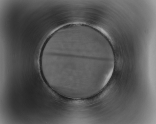 X0000089730943200707201838