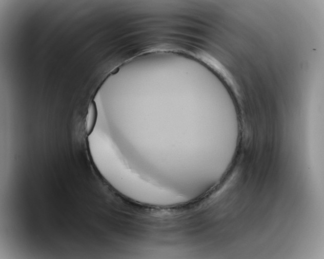 X0000089730945200707201838