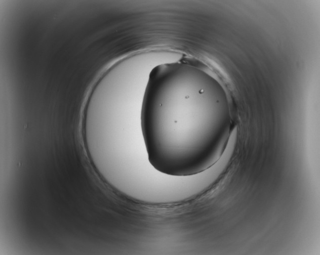 X0000089730948200707201838