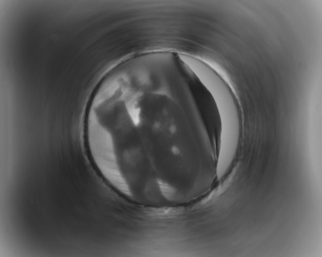 X0000089730949200707201838