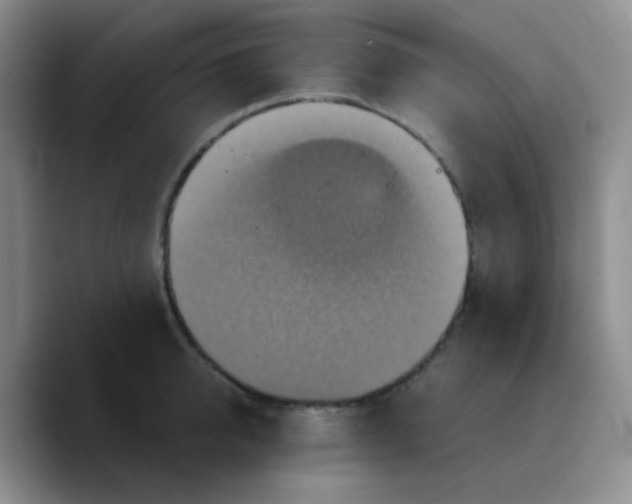 X0000089730950200707201838