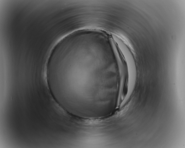 X0000089730952200707201838