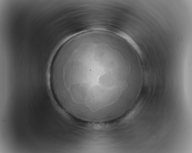 X0000089730955200707201838