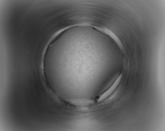 X0000089730956200707201839