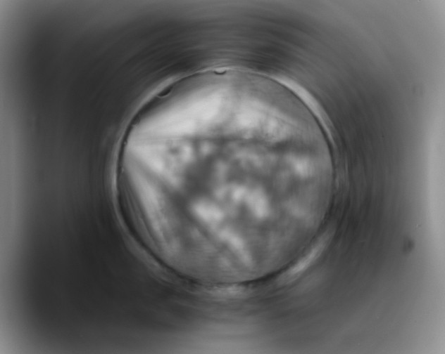 X0000089730957200707201839