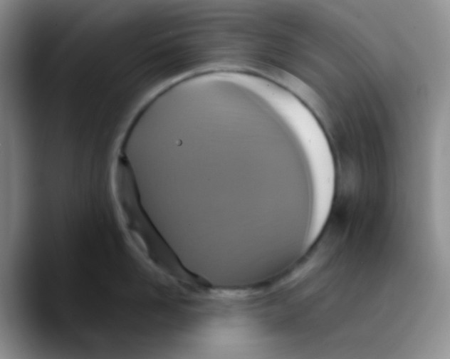 X0000089730958200707201839