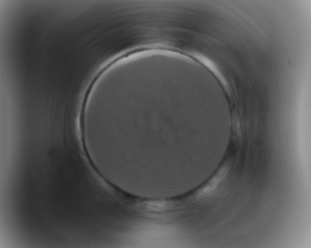 X0000089730959200707201839