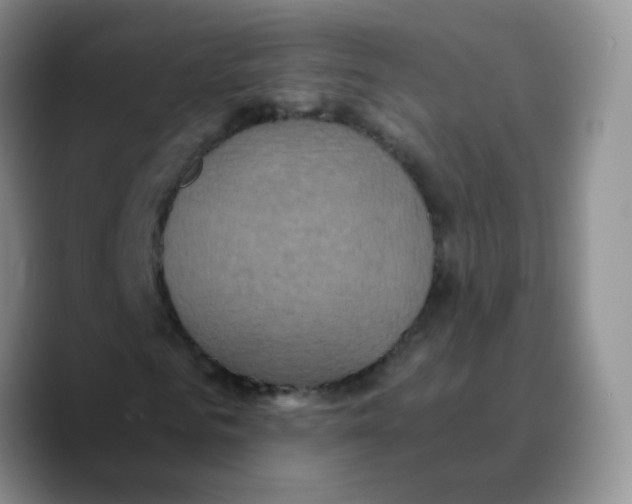 X0000089730961200707201838