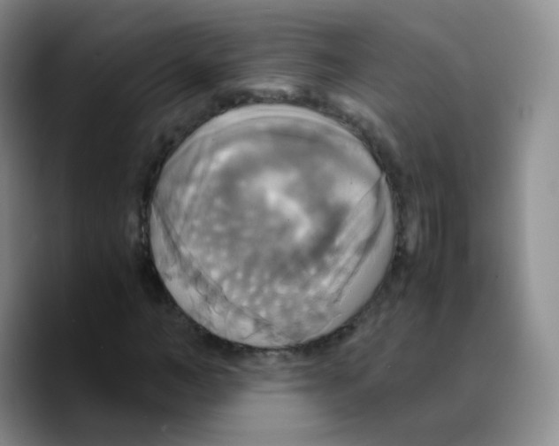 X0000089730966200707201838