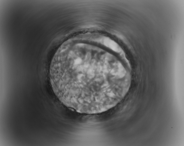 X0000089730967200707201838