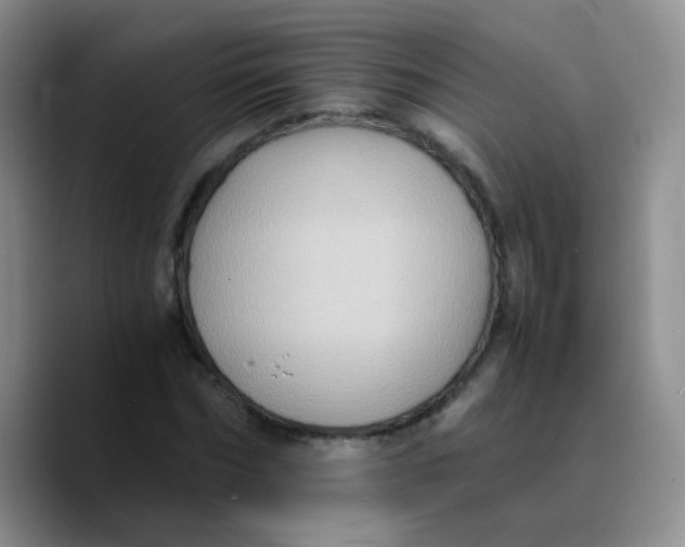 X0000089730970200707201838